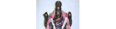 தென்பொன்பரப்பி
